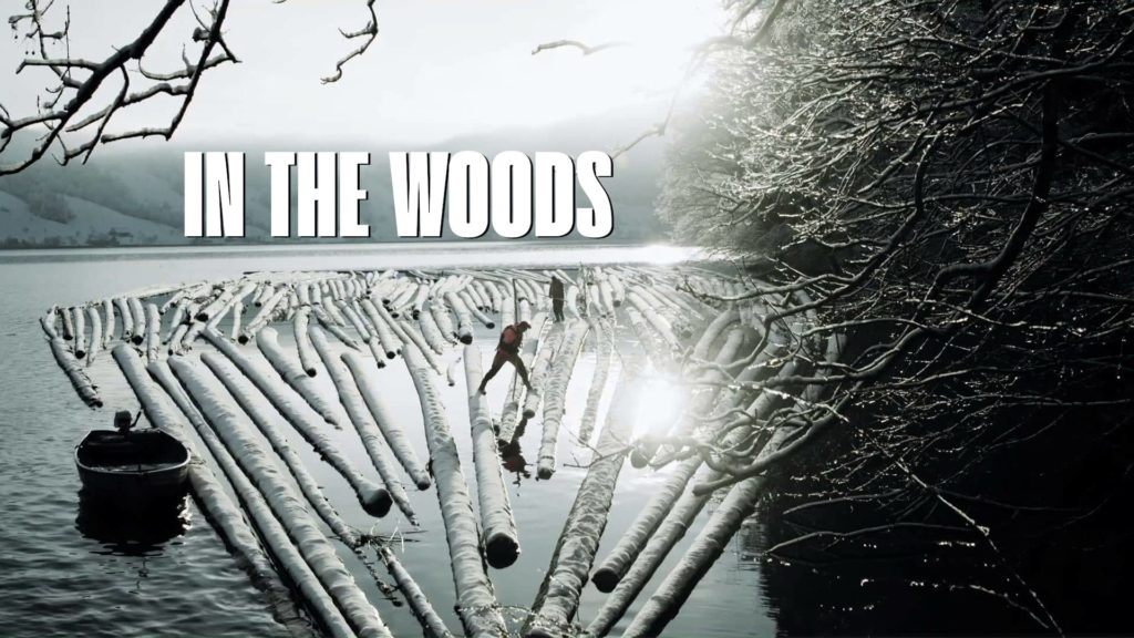 In the Woods | 99.media