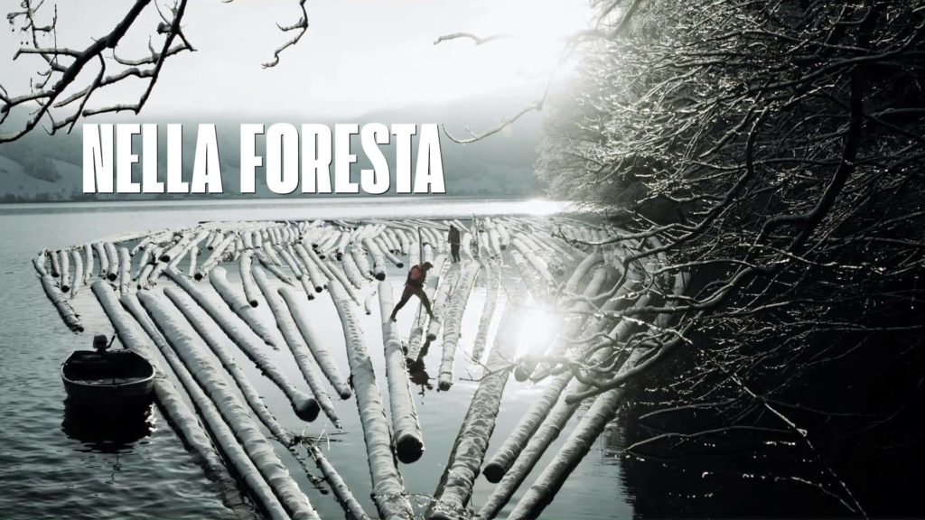 Nella foresta | 99.media