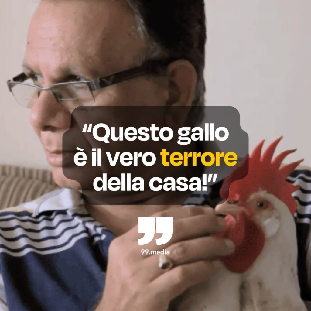 Tungrus | 99.media